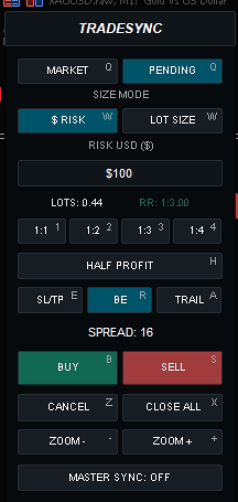 Real TradeSync Master EA panel